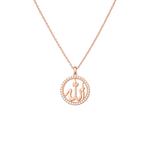 Load image into Gallery viewer, Allah Medallion Necklace